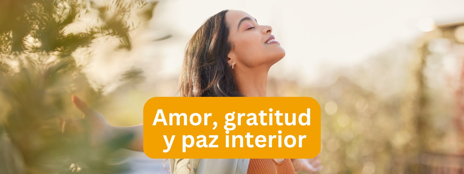 Amor, gratitud y paz interior recopilacion