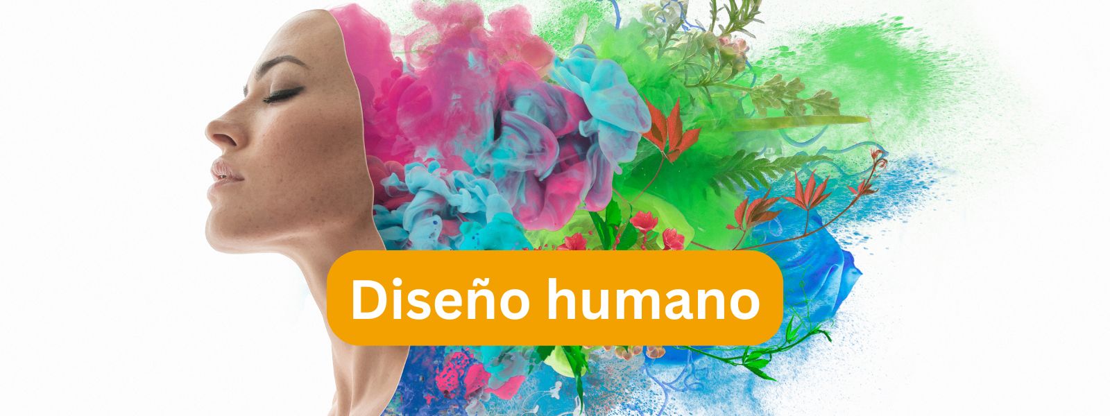 Diseño humano recopilacion